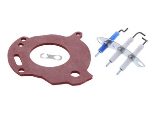 Worcester Bosch 87161163810 Electrodes - Greenstar/Ri