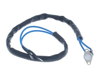 Valor 0540279 Thermoswitch & Lead Assembly - Black Beauty Oxysafe