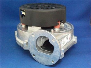 HALSTEAD ED801645 FAN