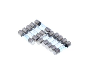 VAILLANT 251961 FUSE 1.25 AT (SET OF 10)