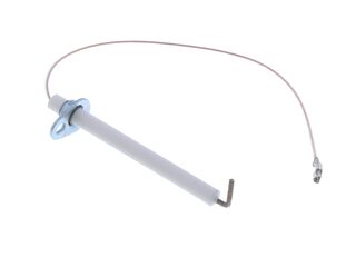 BIASI BI1013102 DETECTION ELECTRODE