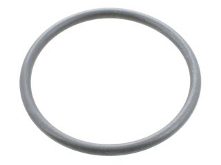Heatrod WR-113 1 3/4" Immersion O-Ring