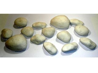 FOCA F780104 PEBBLES KAVACHI ELECTRIC 14 - OBSOLETE