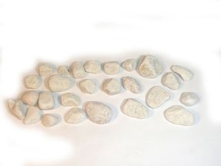FOCA F940171 PEBBLES CINTA