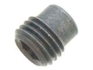 Riello 3007943 Screw (Ram Port)