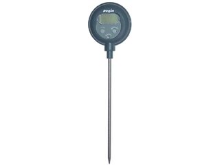 Regin REGM32 Stem Thermometer