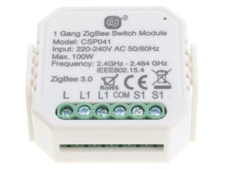 CLICK SMART CSP041 100W 1 GANG SMART SWITCHING RECEIVER
